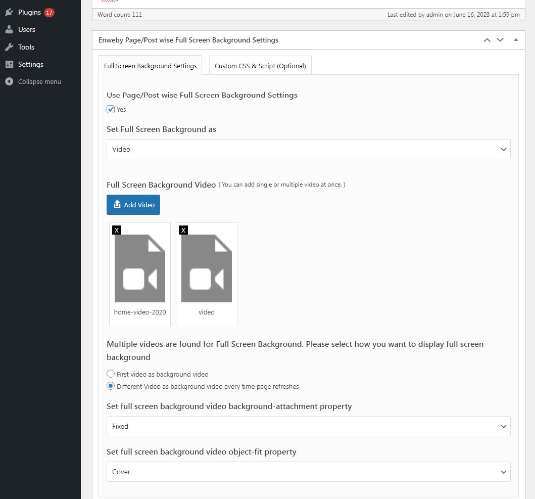 Individual page/post Fullscreen Background Video